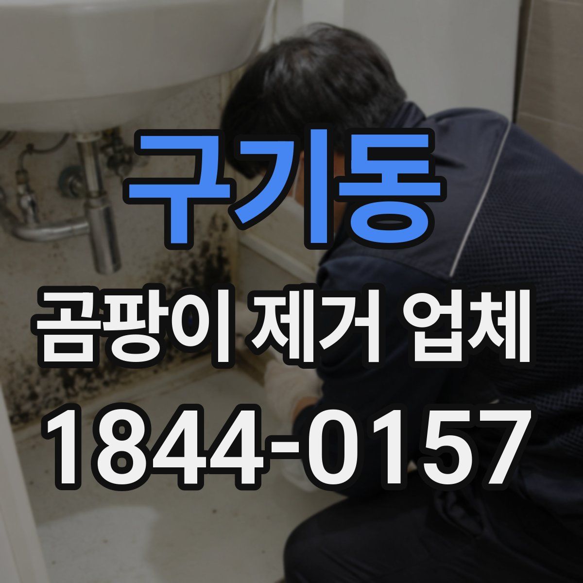 구기동 곰팡이 제거 업체