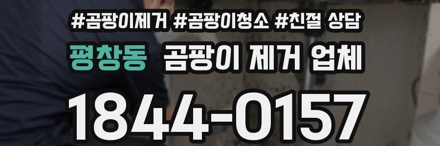 평창동 곰팡이 제거 업체