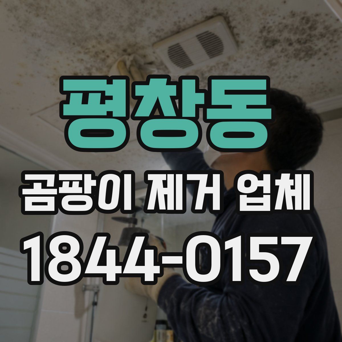 평창동 곰팡이 제거 업체