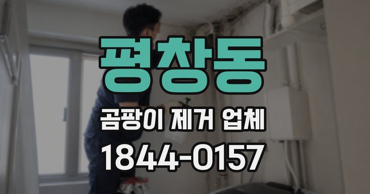 평창동 곰팡이 제거 업체