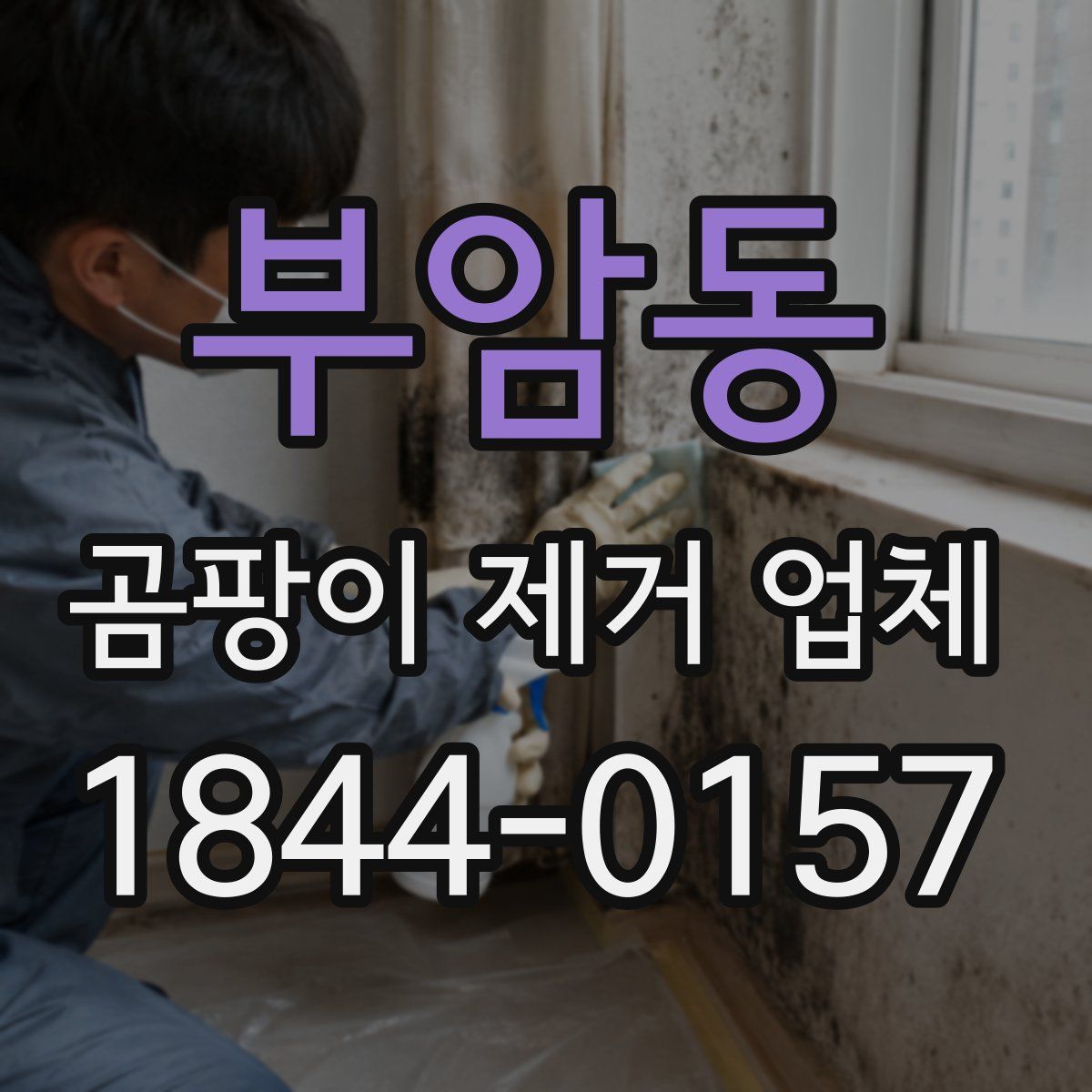 부암동 곰팡이 제거 업체