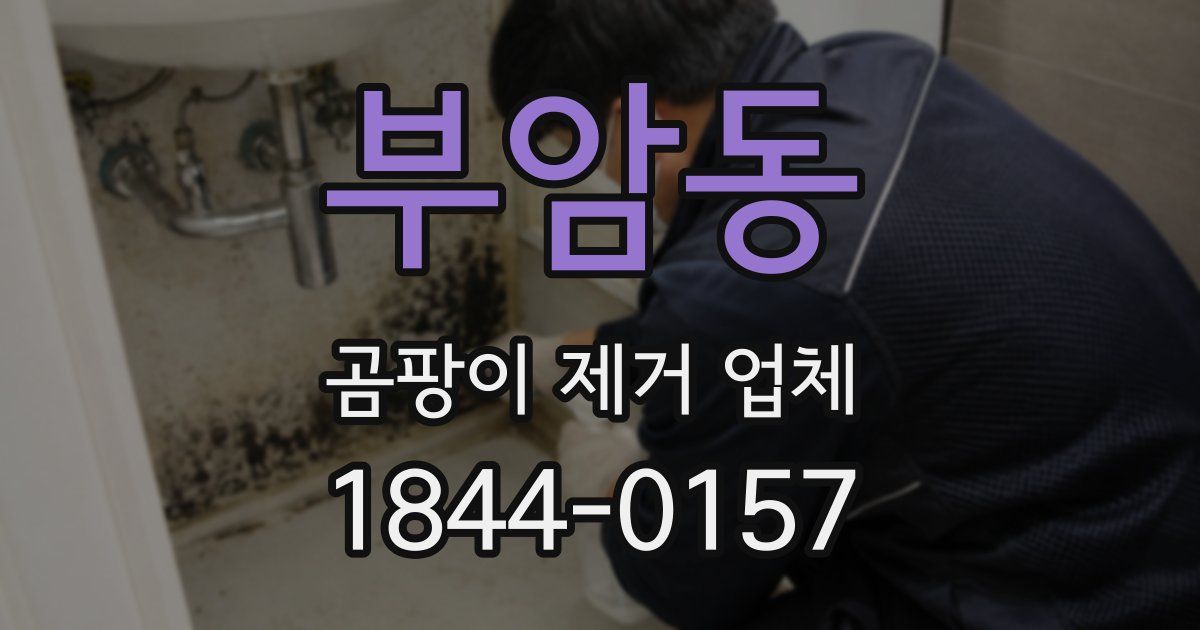 부암동 곰팡이 제거 업체