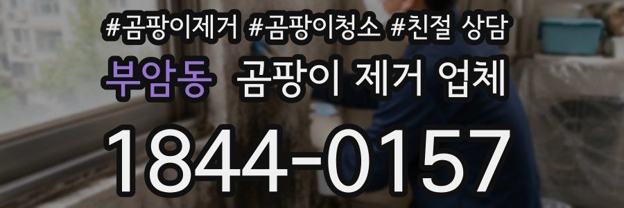 부암동 곰팡이 제거 업체