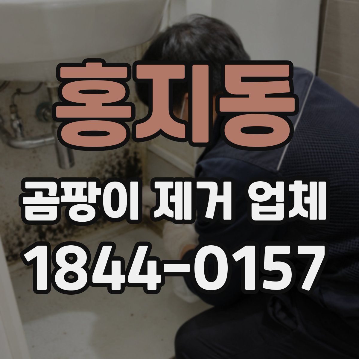 홍지동 곰팡이 제거 업체