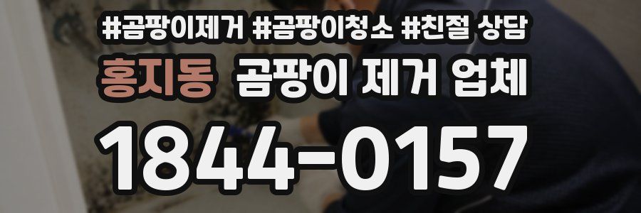 홍지동 곰팡이 제거 업체