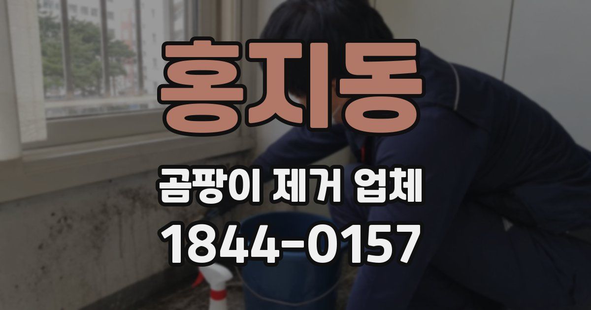 홍지동 곰팡이 제거 업체