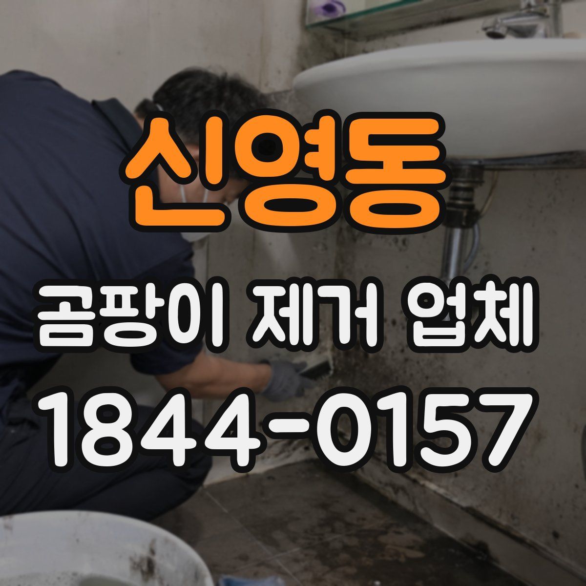 신영동 곰팡이 제거 업체