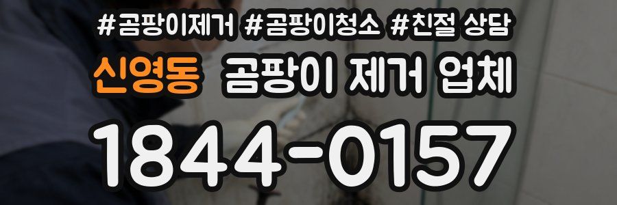 신영동 곰팡이 제거 업체