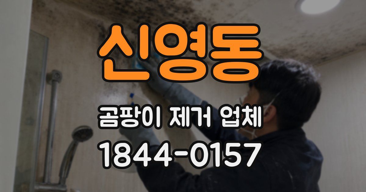 신영동 곰팡이 제거 업체
