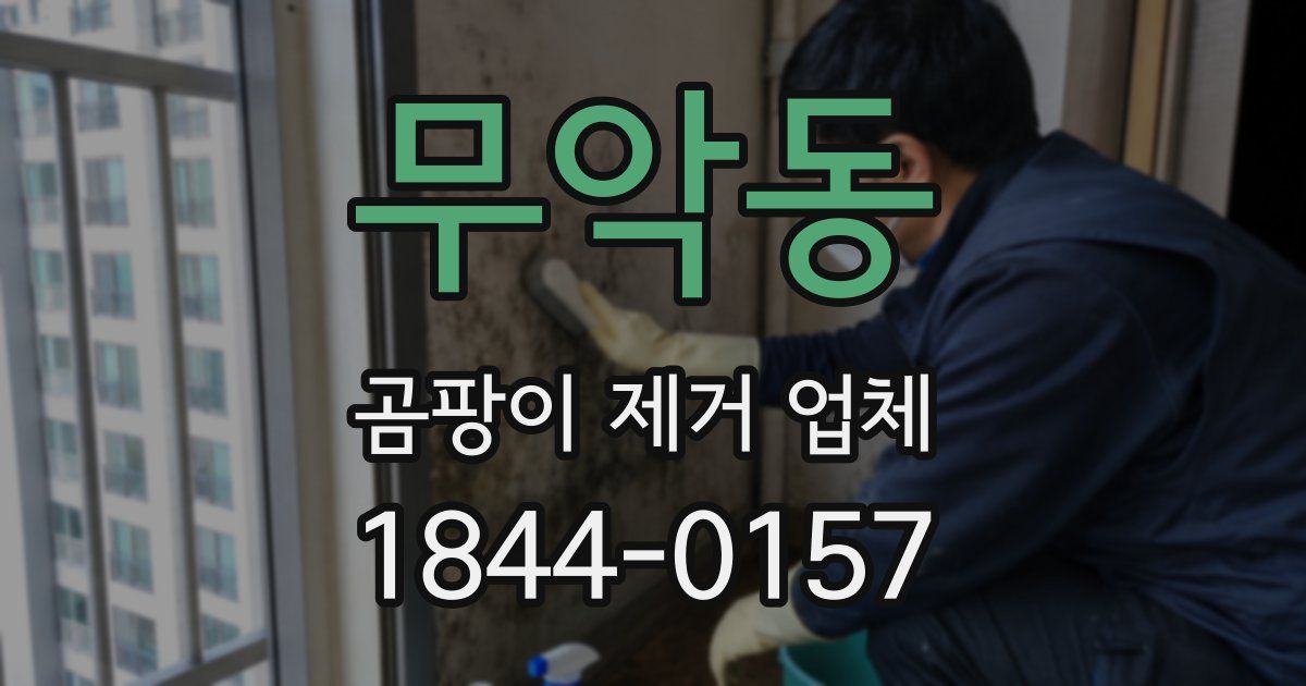 무악동 곰팡이 제거 업체