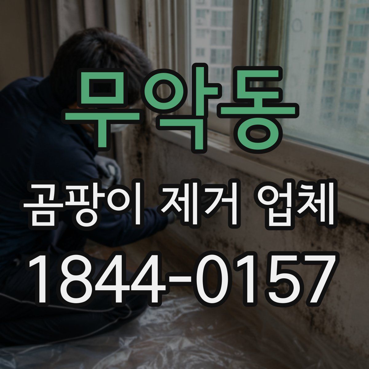 무악동 곰팡이 제거 업체