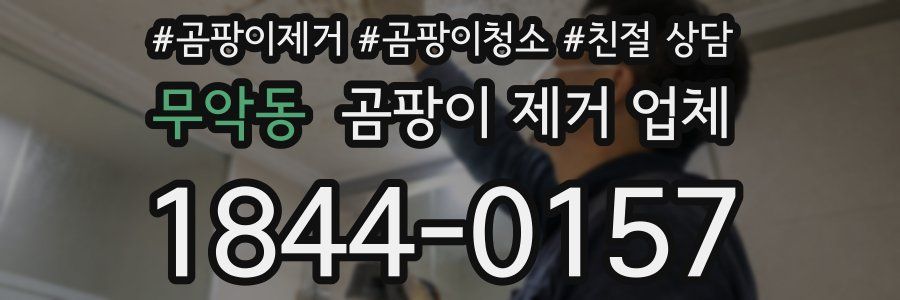 무악동 곰팡이 제거 업체