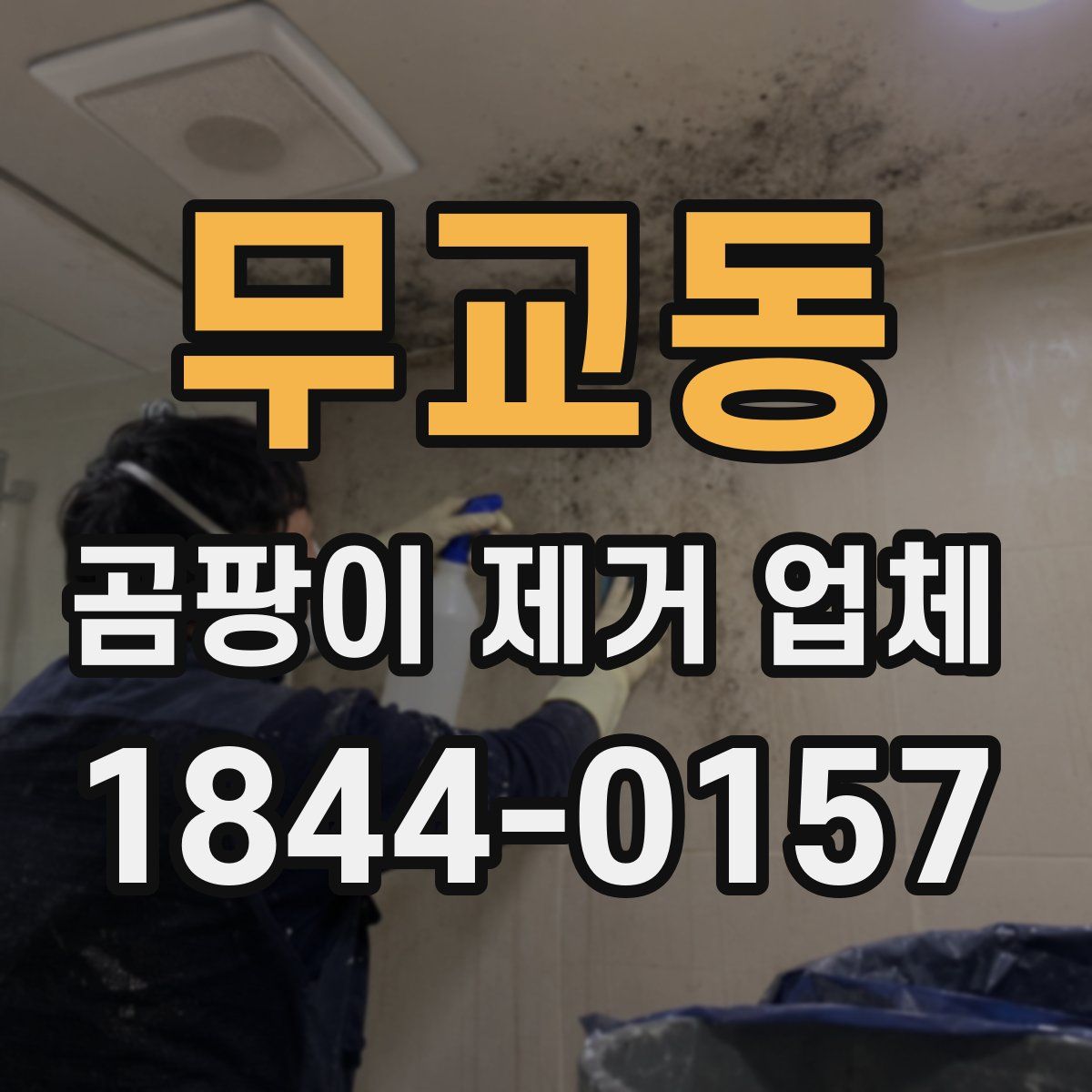 무교동 곰팡이 제거 업체