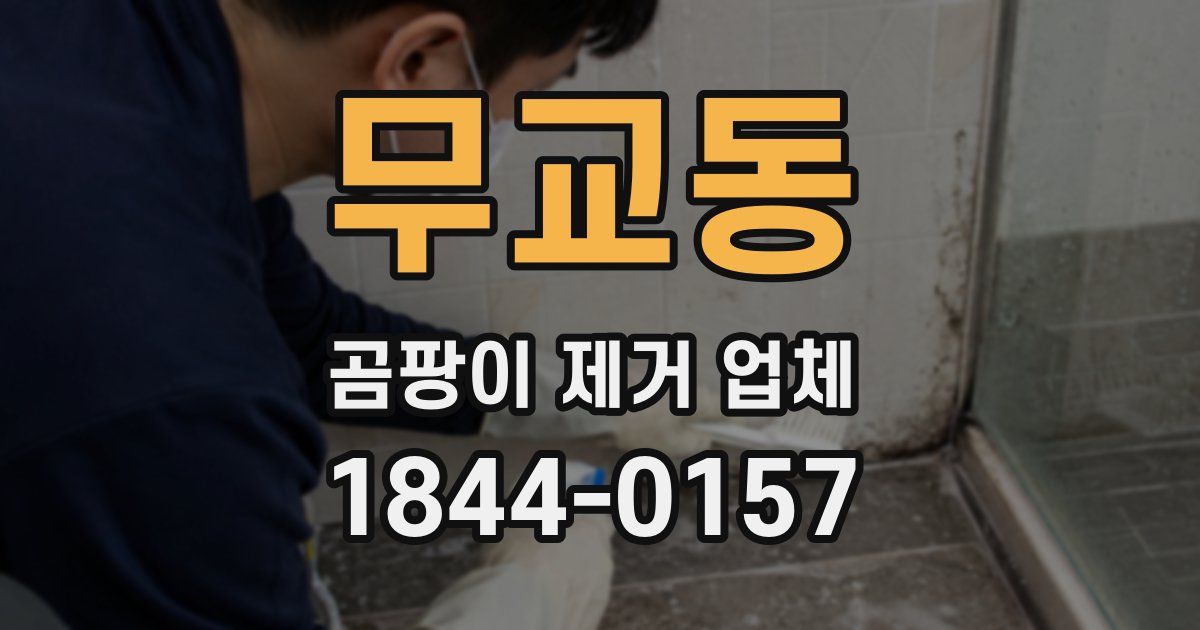 무교동 곰팡이 제거 업체