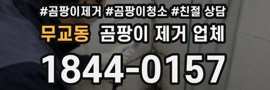 무교동 곰팡이 제거 업체