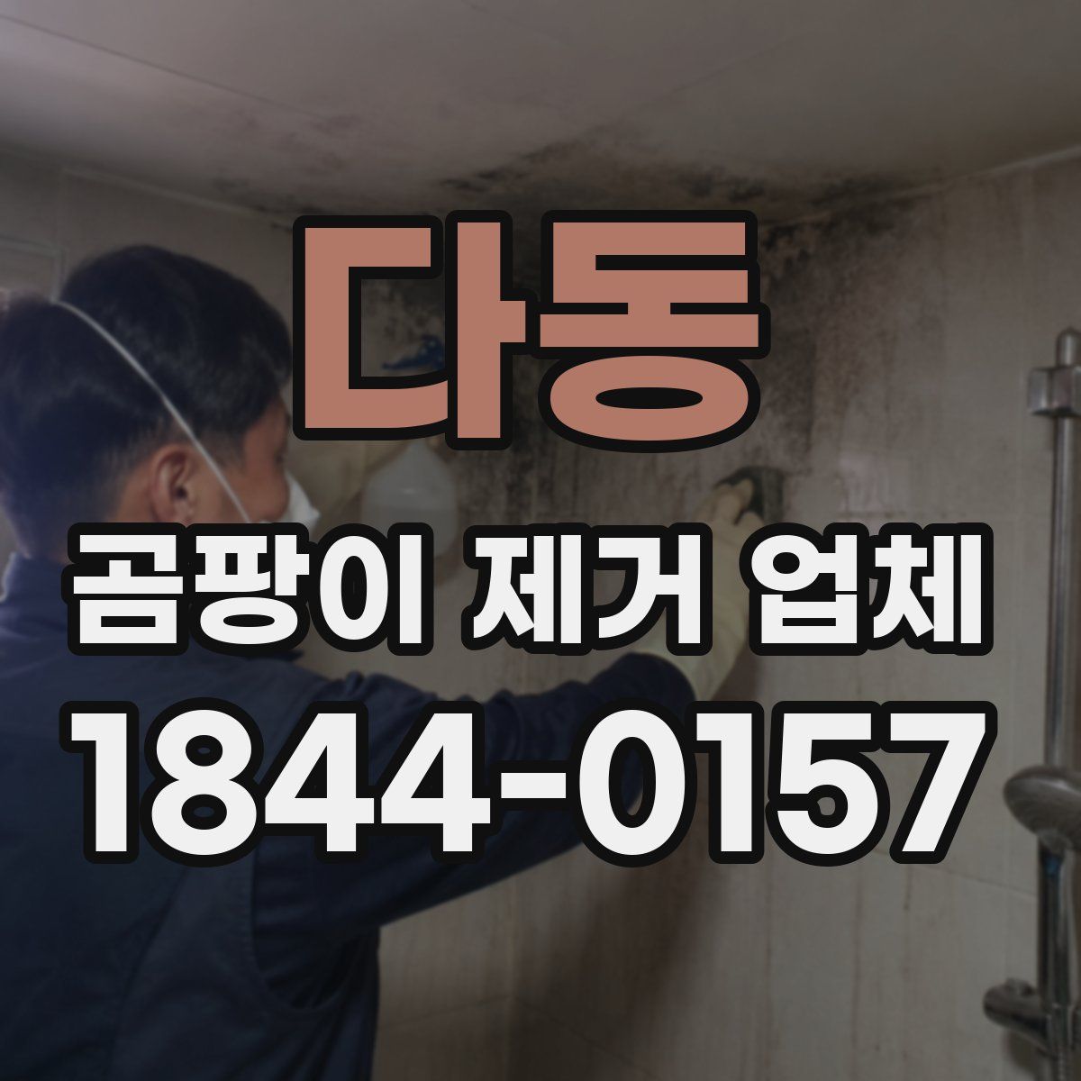 다동 곰팡이 제거 업체