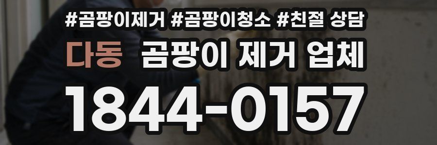 다동 곰팡이 제거 업체