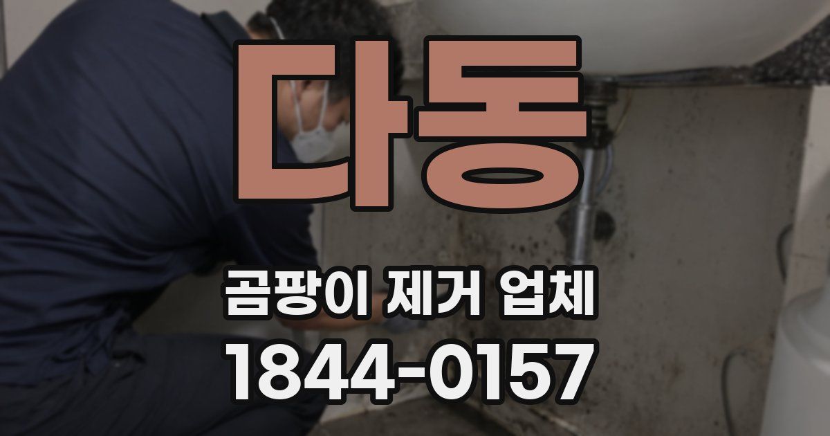 다동 곰팡이 제거 업체