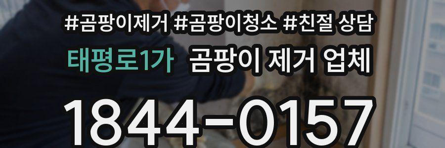 태평로1가 곰팡이 제거 업체
