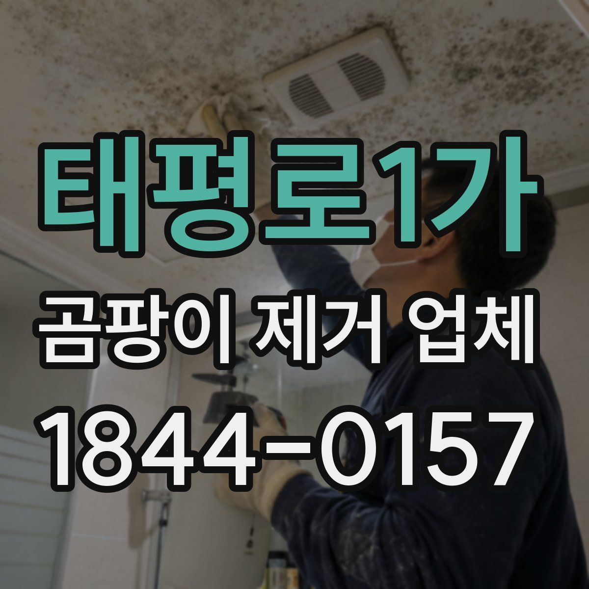 태평로1가 곰팡이 제거 업체