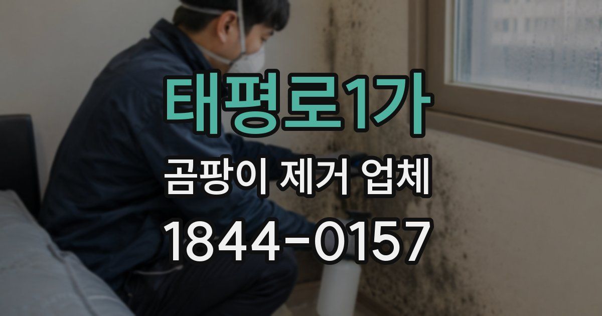 태평로1가 곰팡이 제거 업체