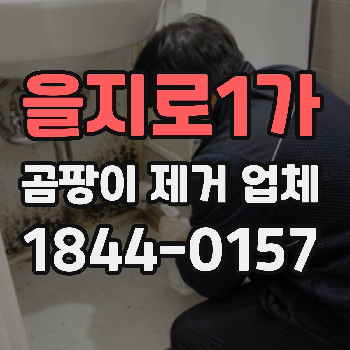 을지로1가 곰팡이 제거 업체