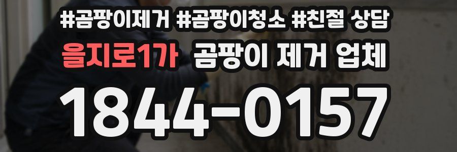 을지로1가 곰팡이 제거 업체