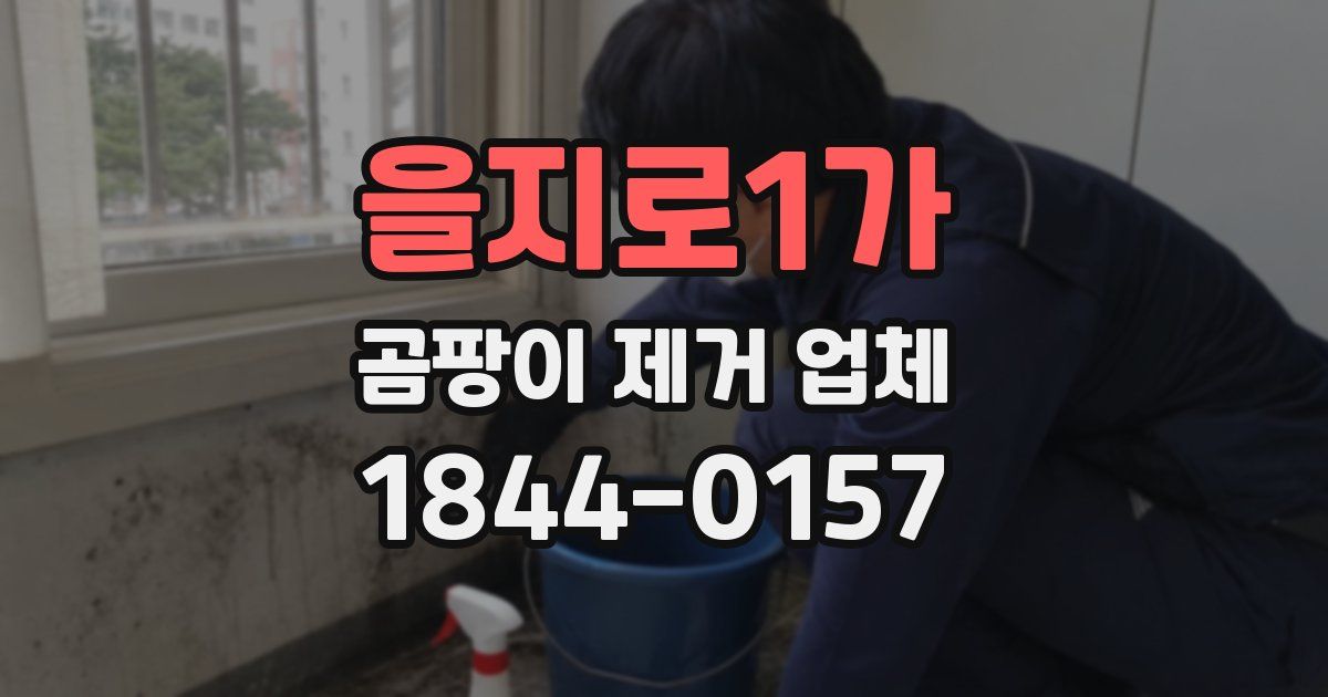 을지로1가 곰팡이 제거 업체