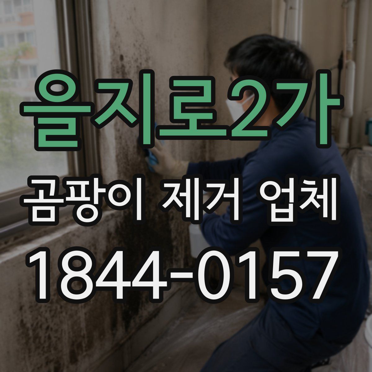 을지로2가 곰팡이 제거 업체