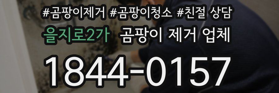 을지로2가 곰팡이 제거 업체