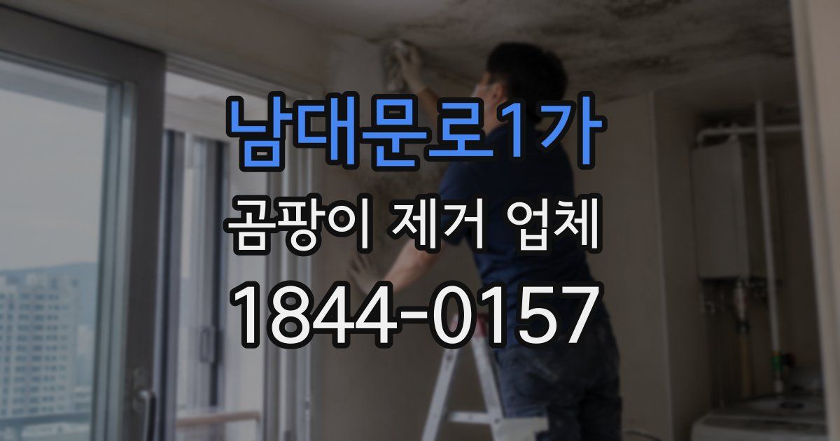 남대문로1가 곰팡이 제거 업체