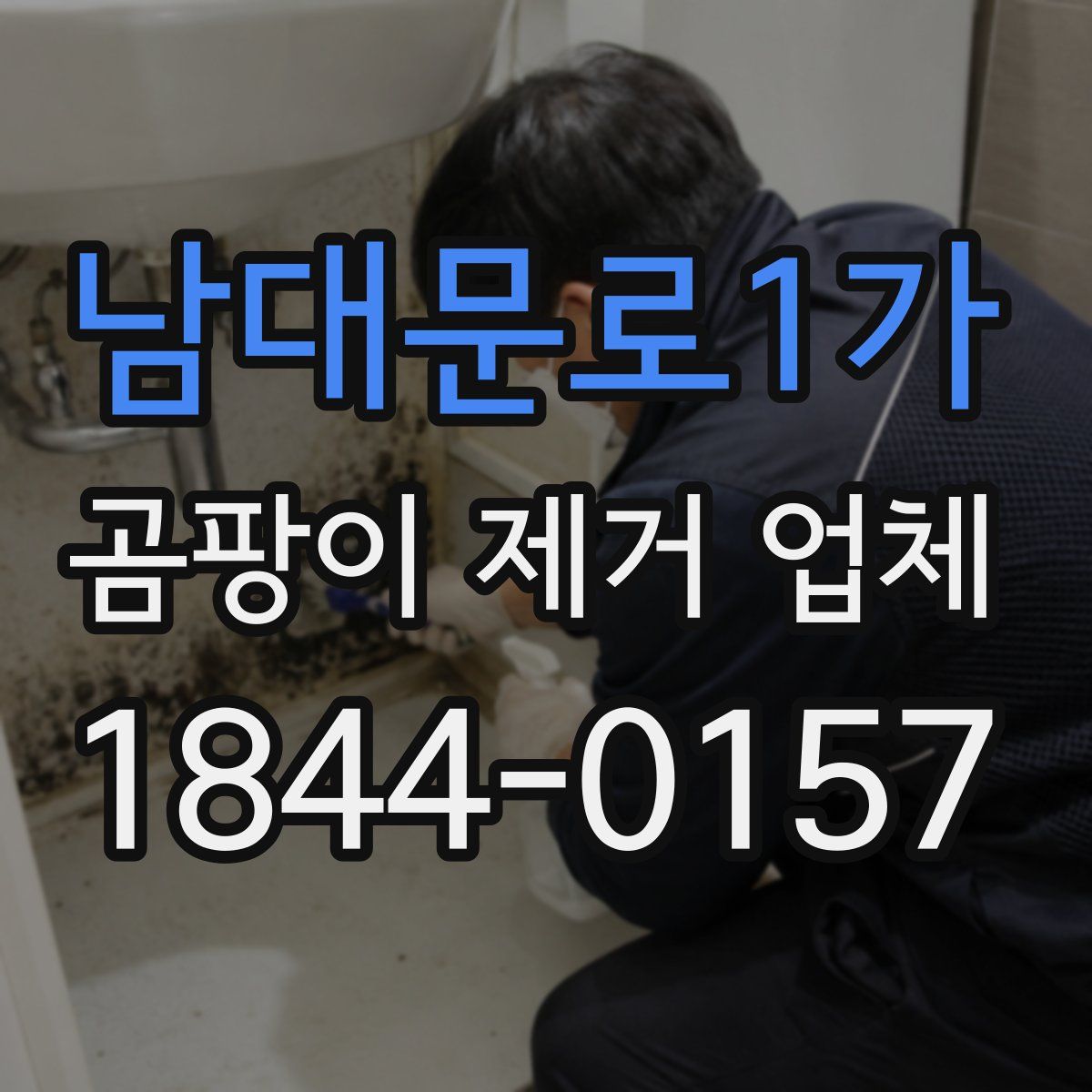 남대문로1가 곰팡이 제거 업체