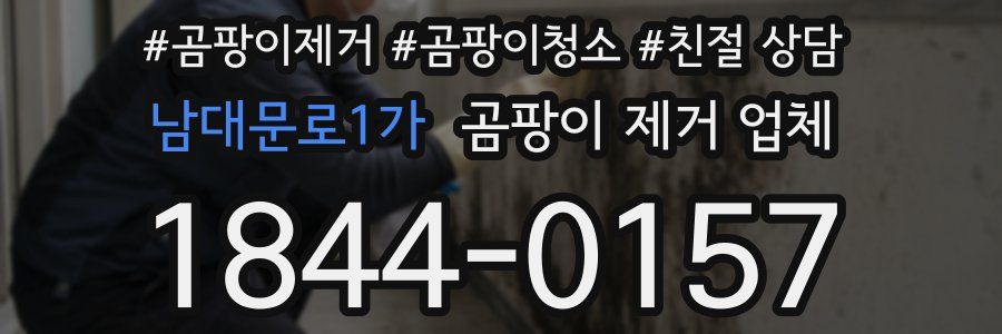 남대문로1가 곰팡이 제거 업체