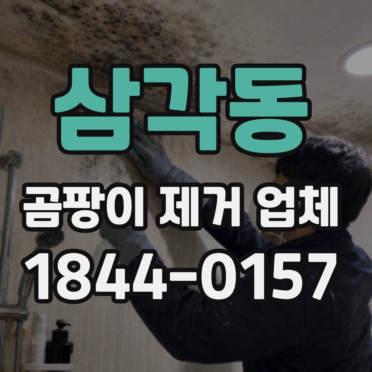 삼각동 곰팡이 제거 업체