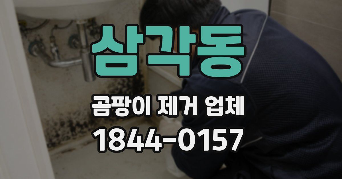 삼각동 곰팡이 제거 업체
