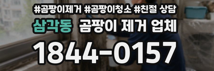 삼각동 곰팡이 제거 업체