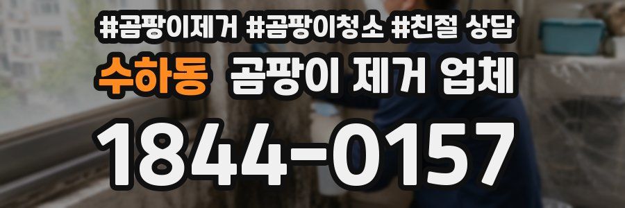 수하동 곰팡이 제거 업체