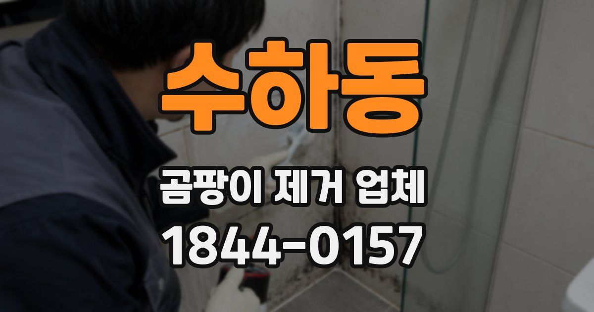 수하동 곰팡이 제거 업체