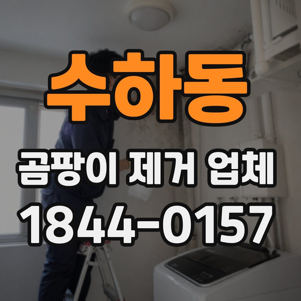 수하동 곰팡이 제거 업체