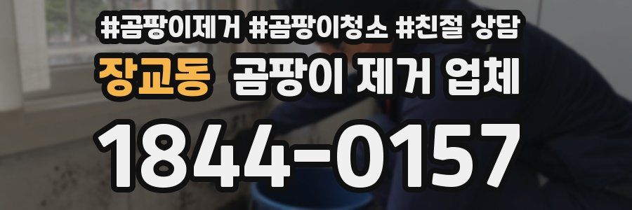 장교동 곰팡이 제거 업체