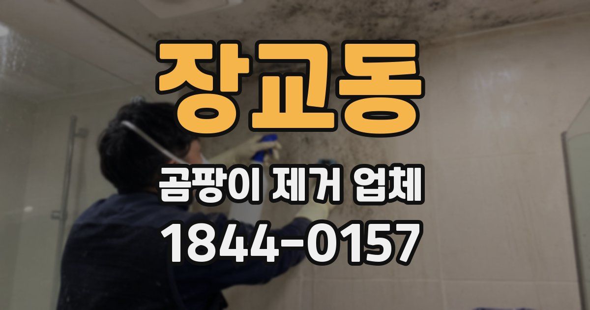 장교동 곰팡이 제거 업체