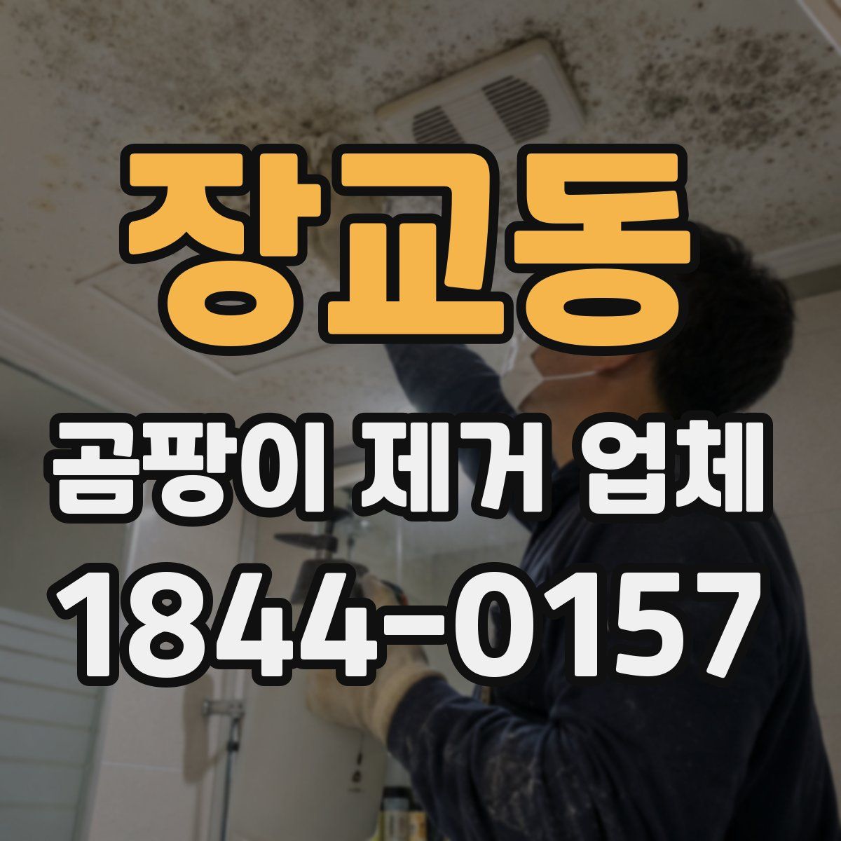 장교동 곰팡이 제거 업체