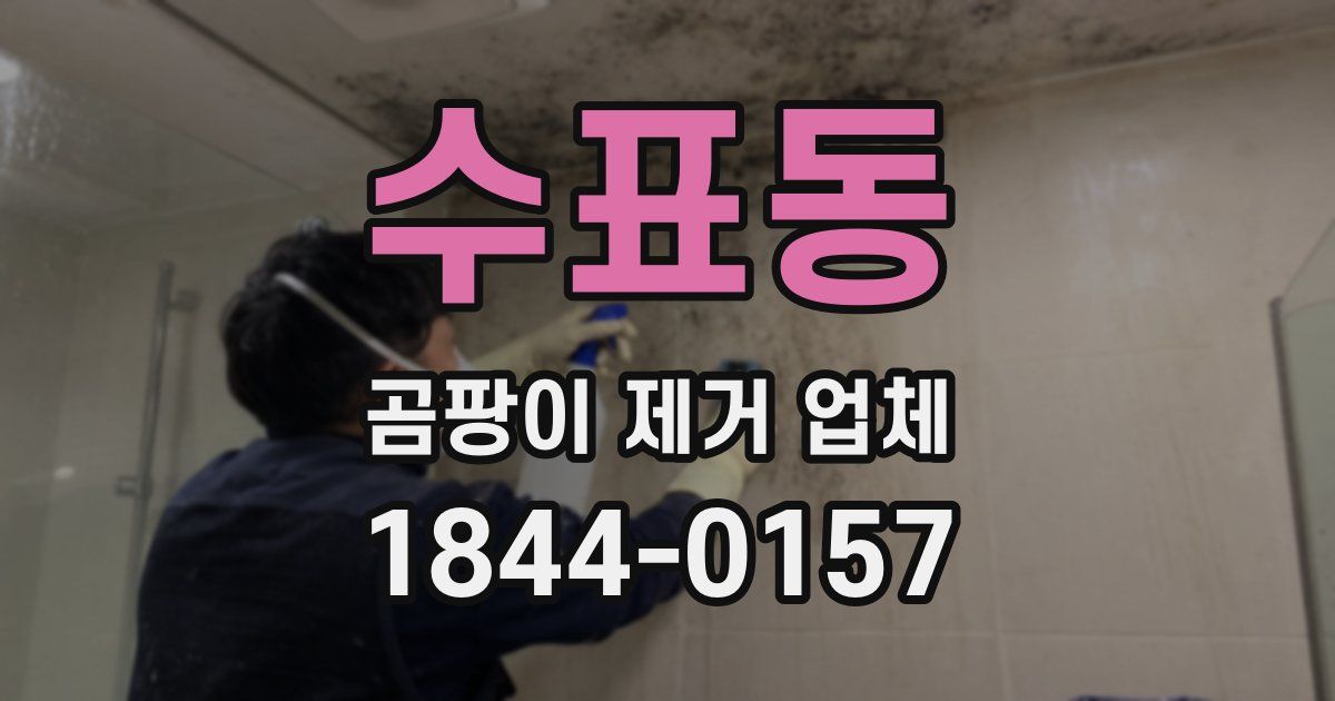수표동 곰팡이 제거 업체