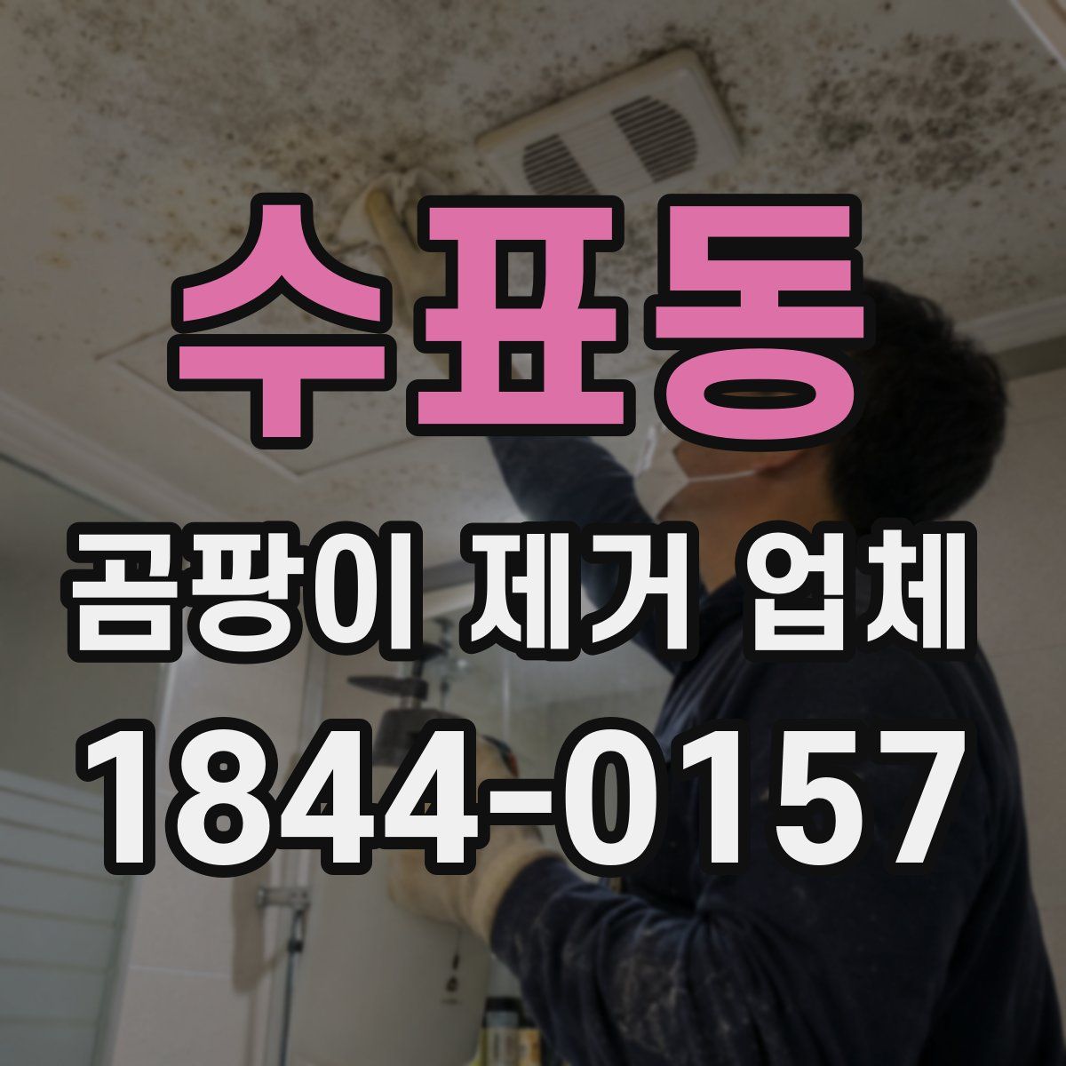 수표동 곰팡이 제거 업체