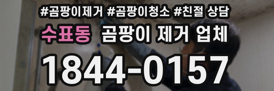 수표동 곰팡이 제거 업체