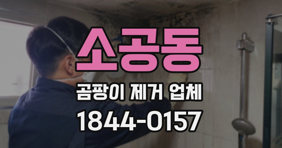 소공동 곰팡이 제거 업체