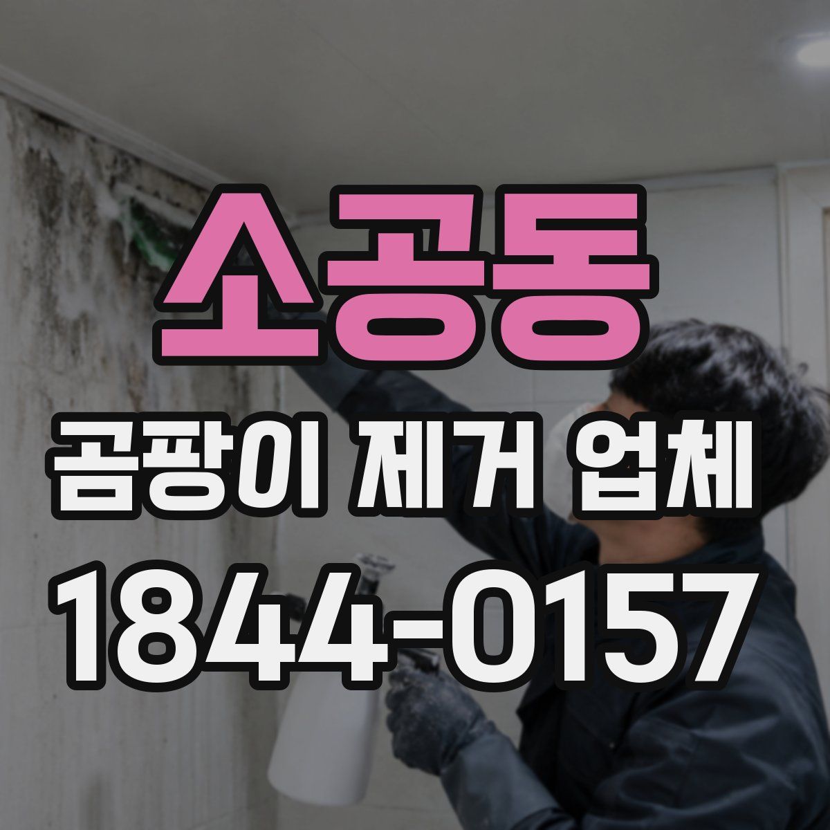 소공동 곰팡이 제거 업체