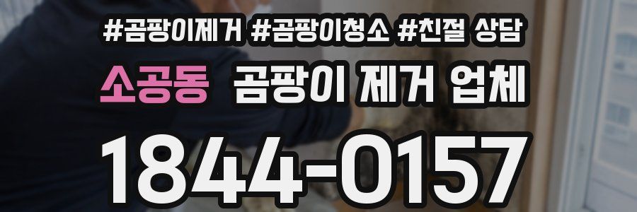 소공동 곰팡이 제거 업체