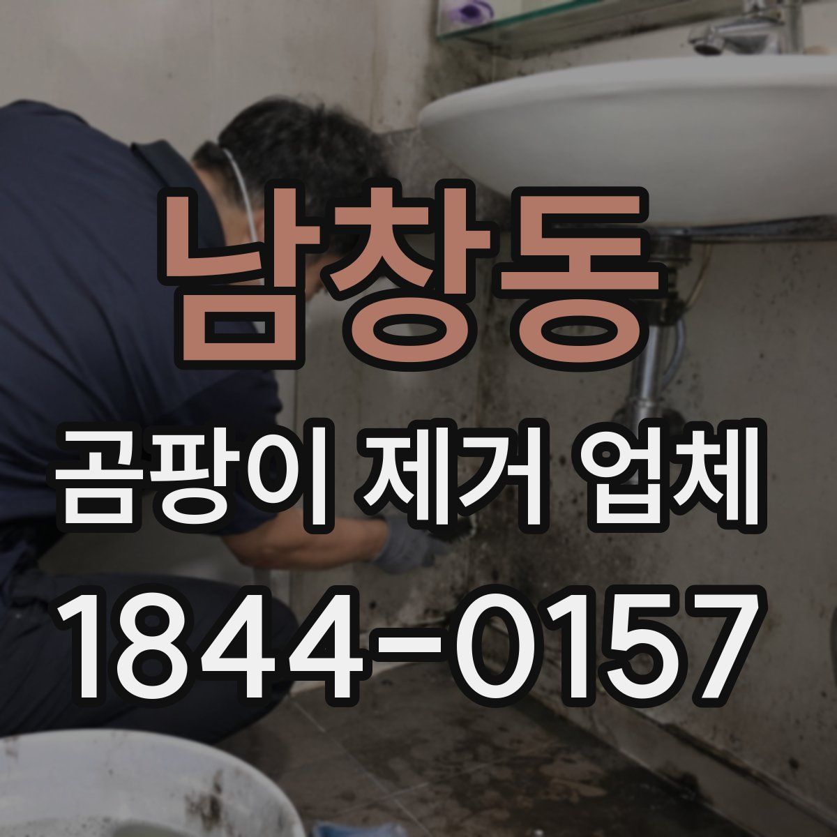 남창동 곰팡이 제거 업체