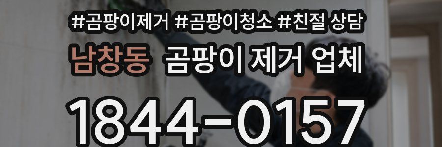 남창동 곰팡이 제거 업체
